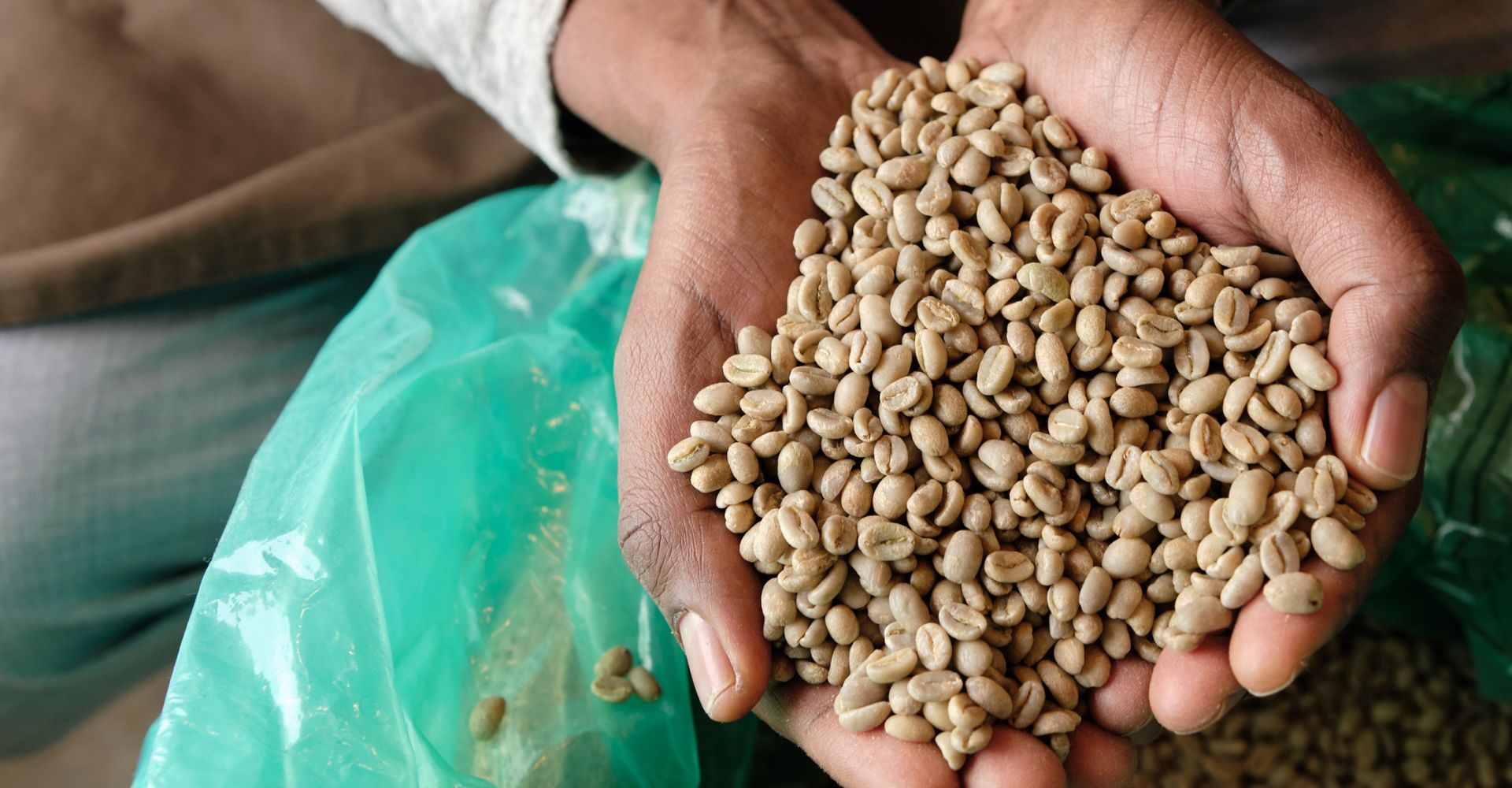 Yirgacheffe Misty Valley