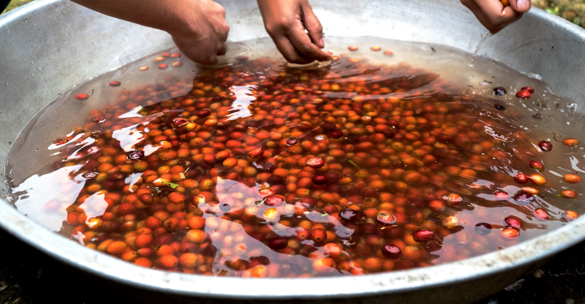 Support Local Farmers